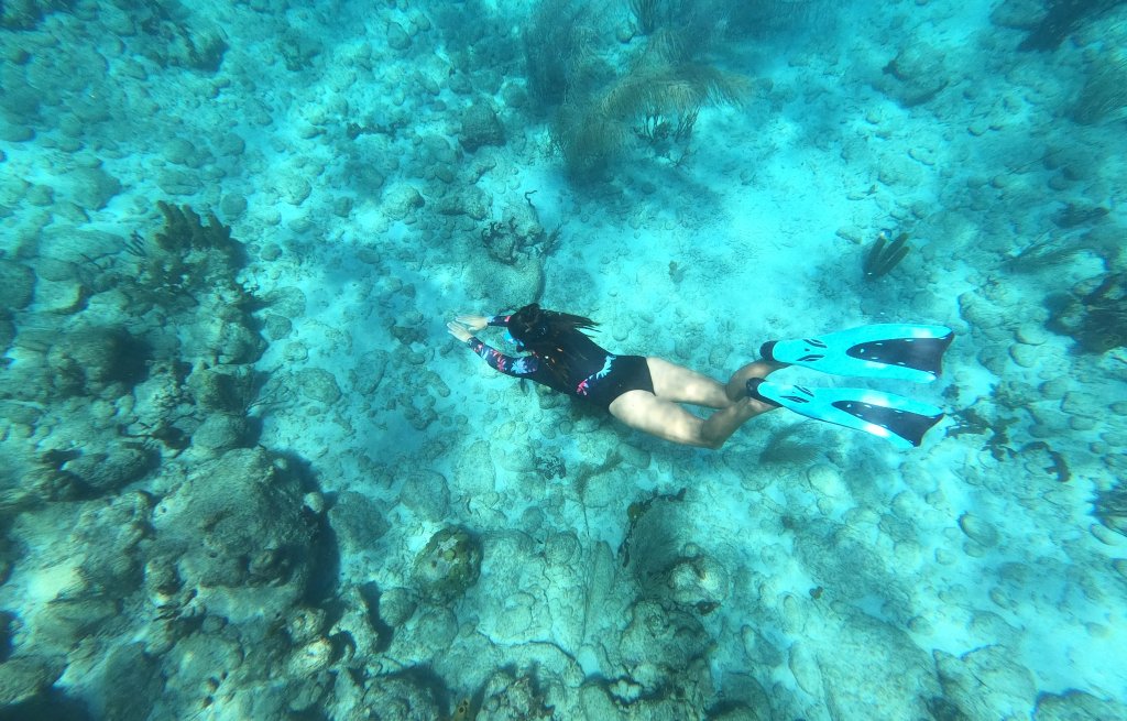 Down into the blue.