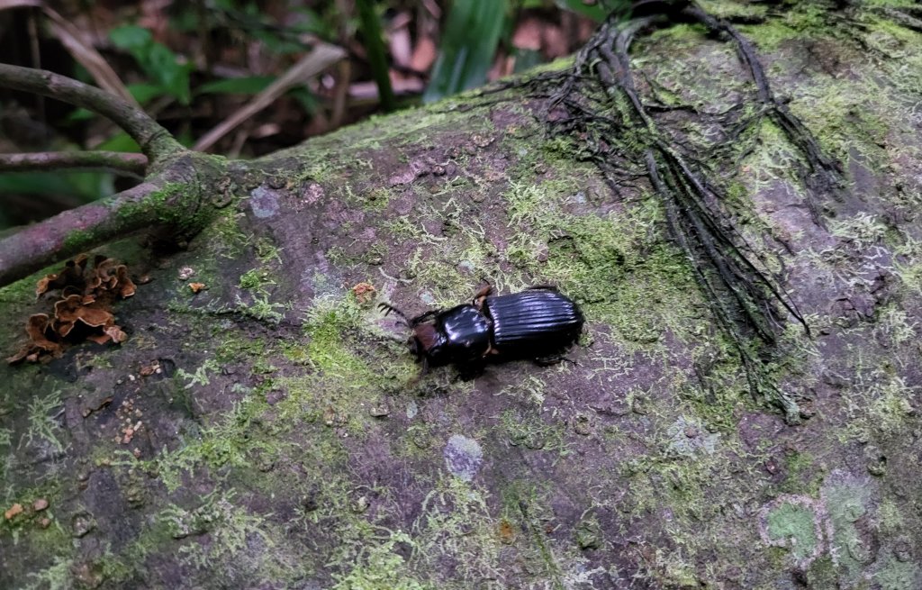 Hello there little fella!