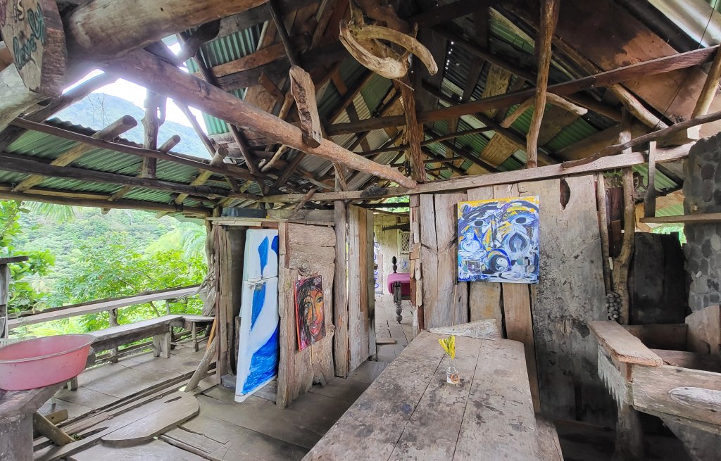 The art gallery house.