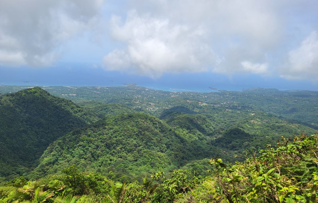 View from Mount St Catherine, the highest mountain in Grenada.