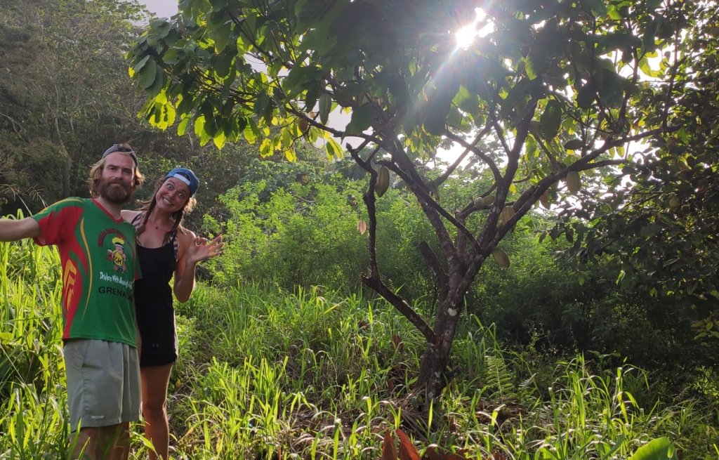 Captain, Capitana and the cocoa tree.