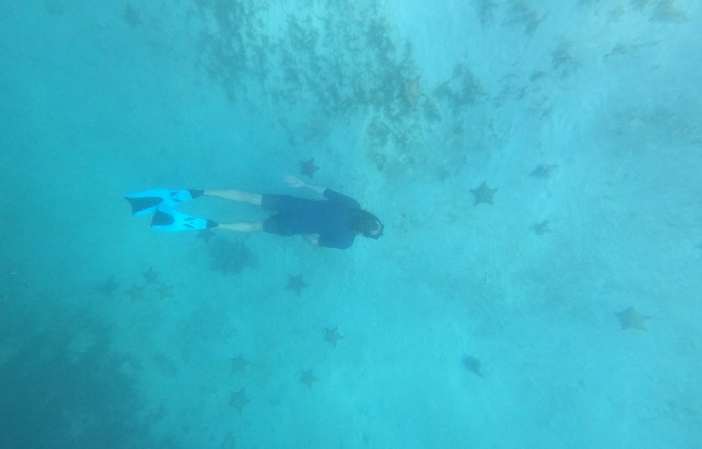 Thierry marvels at the many starfish off Mayreau.