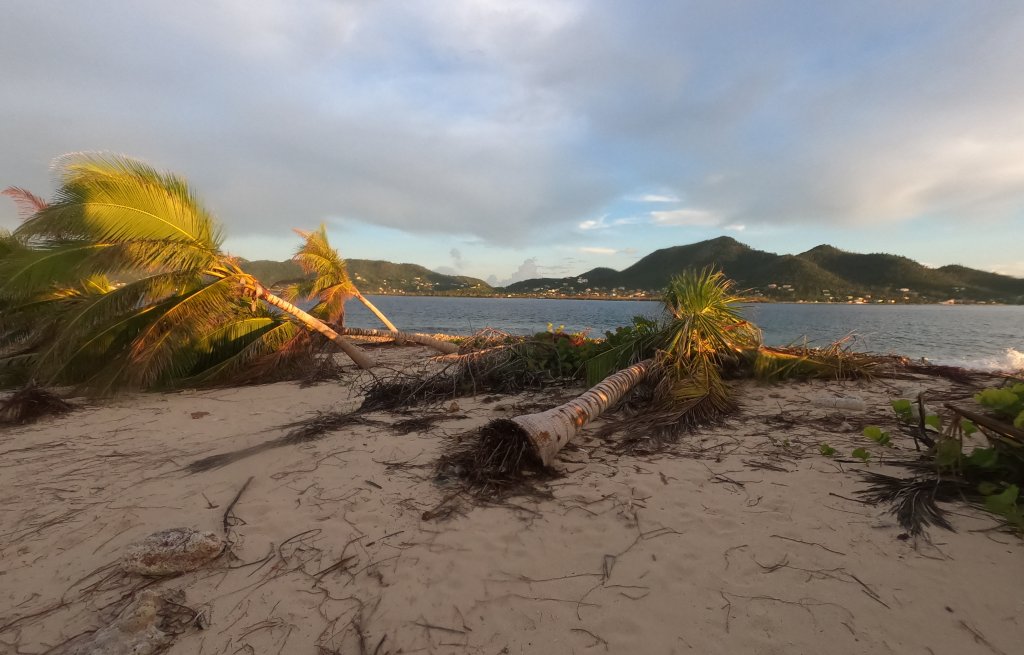 Die unbewohnte Sandy Island, unser Happy Place, 3 Monate nach Hurrikan Beryl.