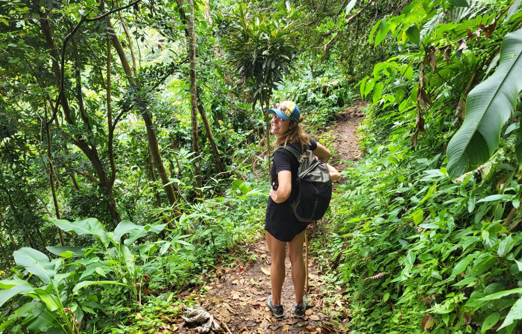 Off into the jungle!