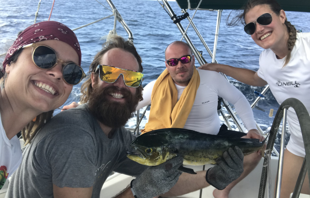 Fish aleeeeeeeeeert!