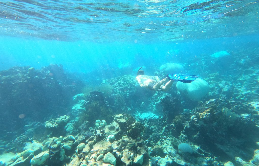 The enchanting underwater kingdom.