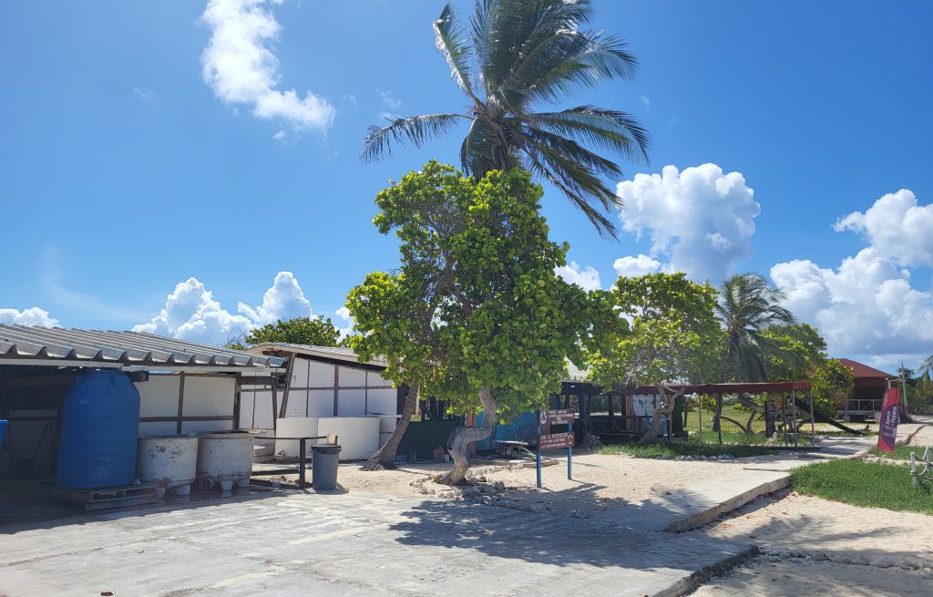 Turtle shelter on Dos Mosquises.