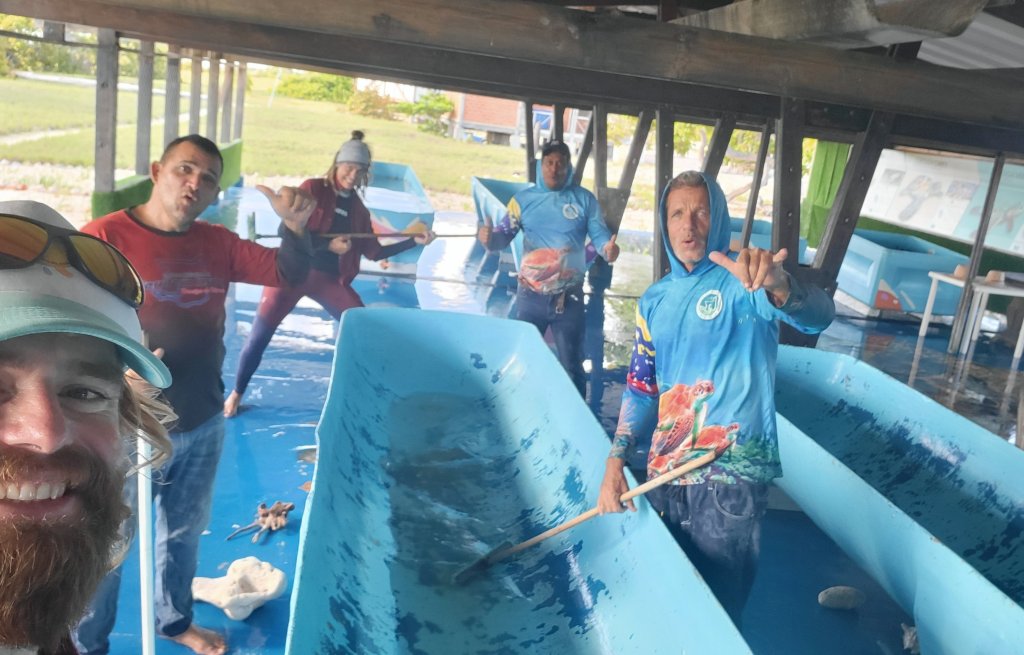 Cleaning the tanks!