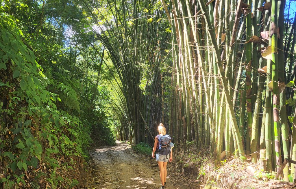 On our way down to the Coffee Farm