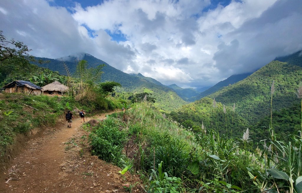 Aur path leads through magical nature.