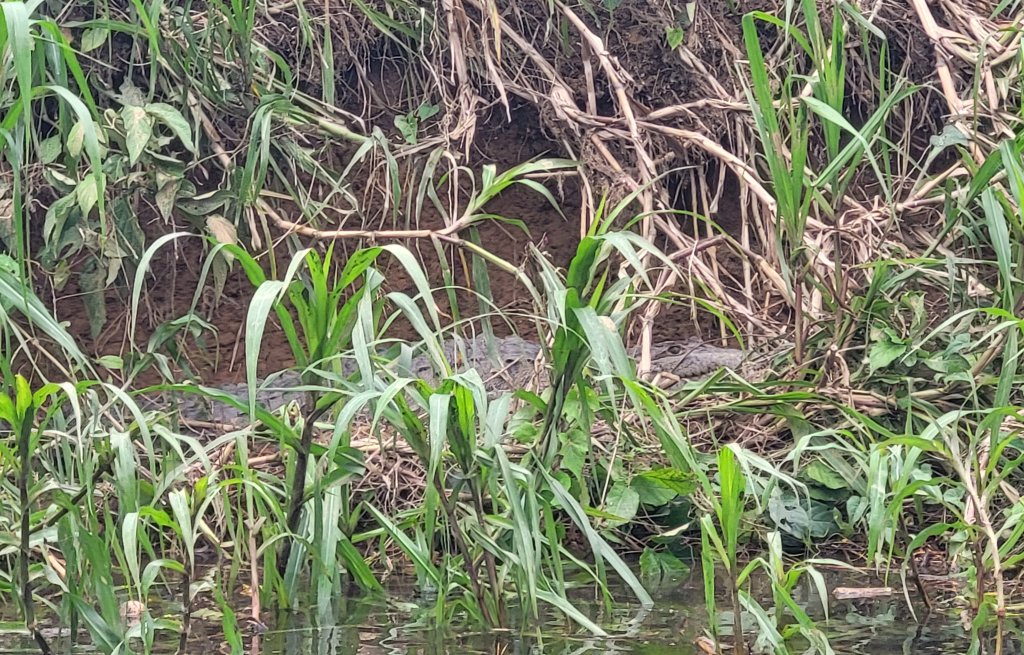 And we actually did find one!