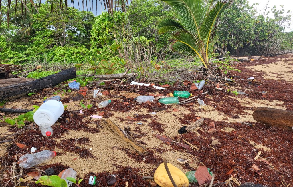 The sad reality on most of the beaches.
