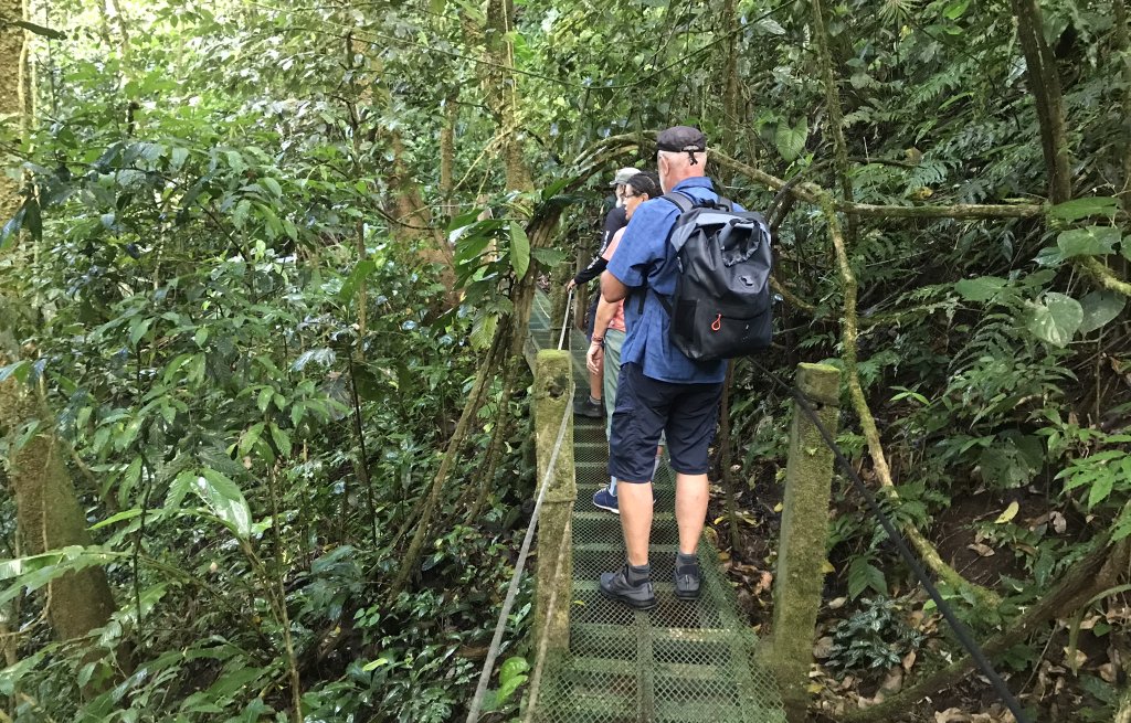 Walking through the rainforest with mam and dad.
