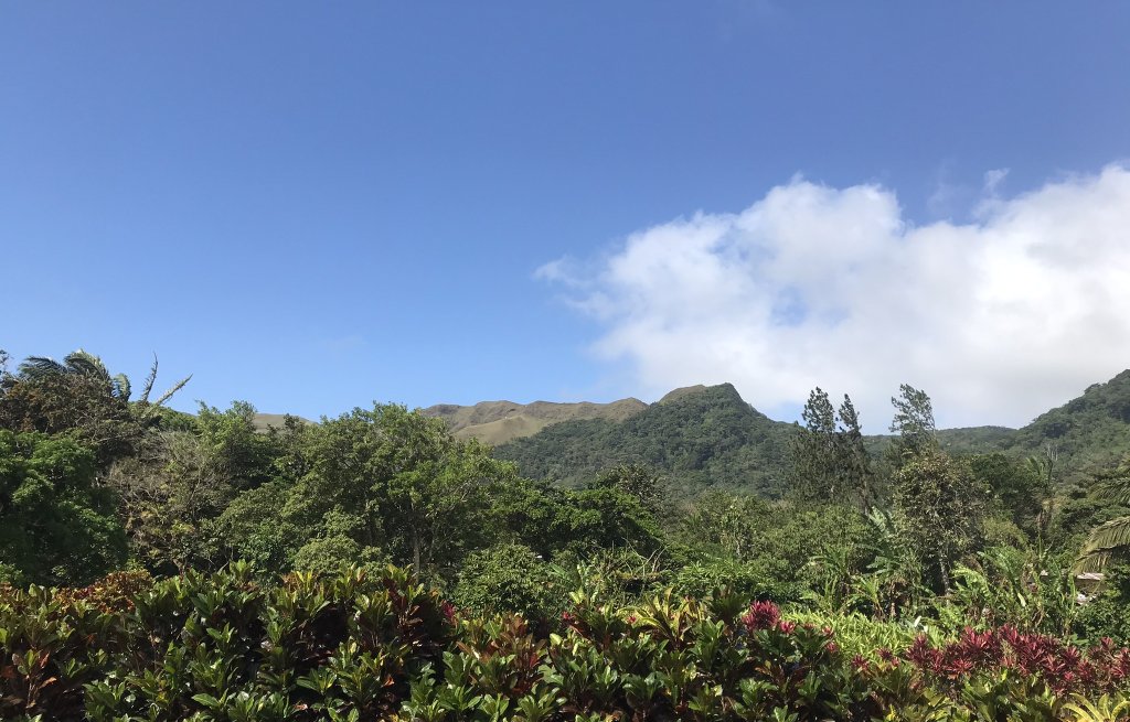 If you look closely, you can see the silhouette of a laying woman, her hair (the dark green forest) spreading down...