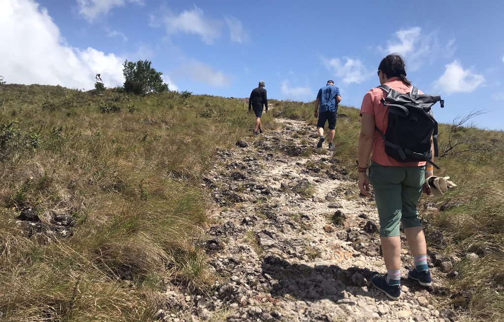 Hikin up the crator of the volcano.