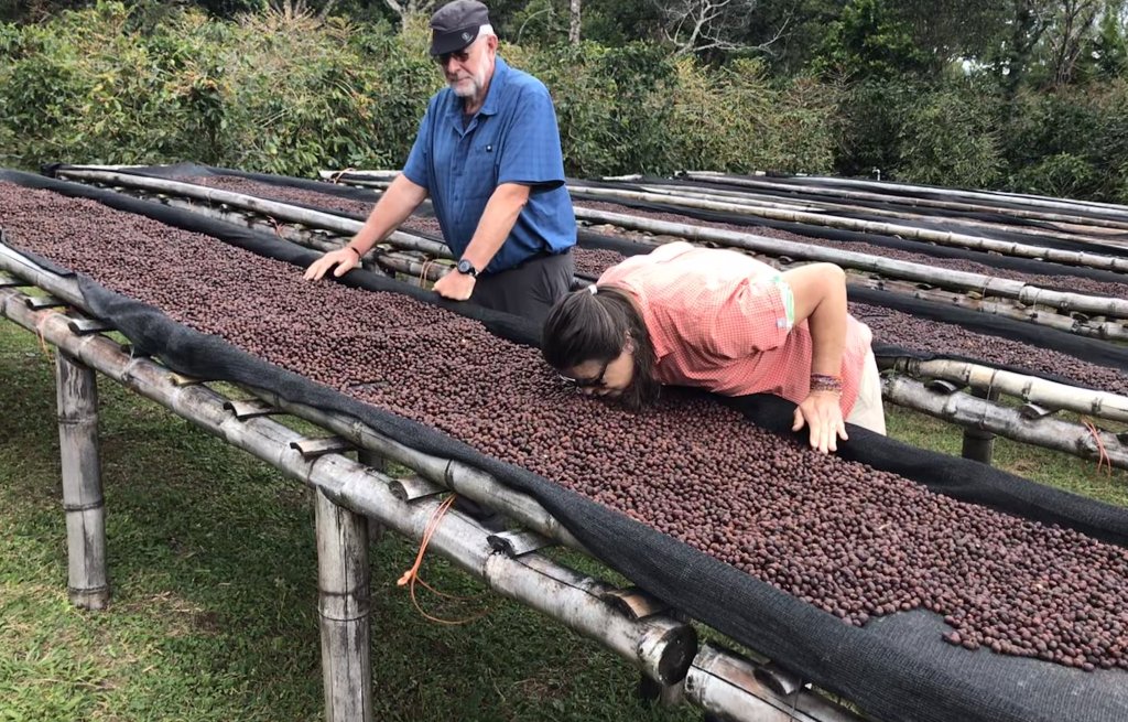 Seeing, feeling, smelling and experiencing coffee!