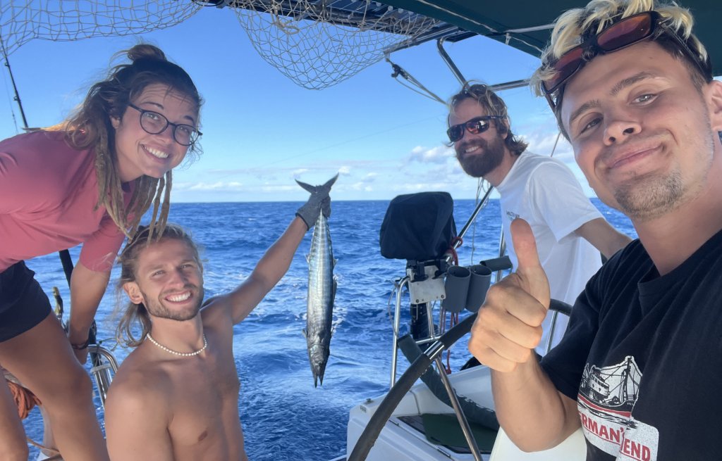 Hey little wahoo!