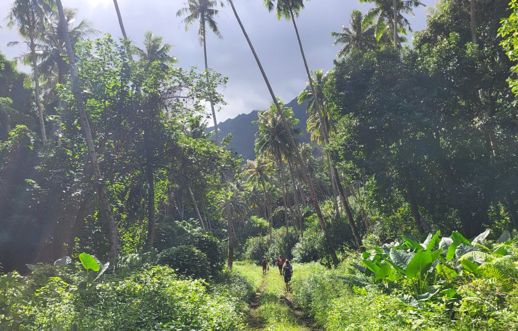 As usual the path is covered in lush green.