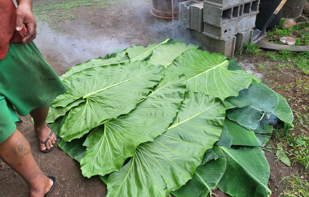 The hole is covered with various leaves and soil.